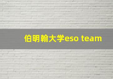 伯明翰大学eso team